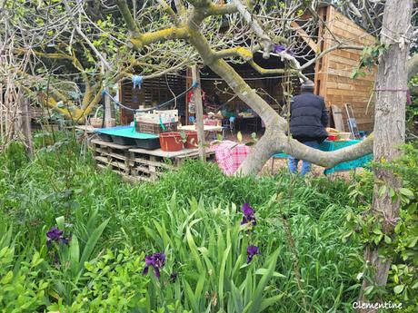 Omelette Saveurs d'Antan