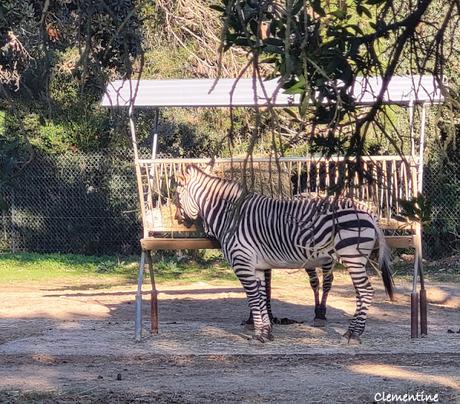 Montpellier - Parc Zoologique et Pirates Paradise Montpellier - Parc Zoologique et Pirates Paradise