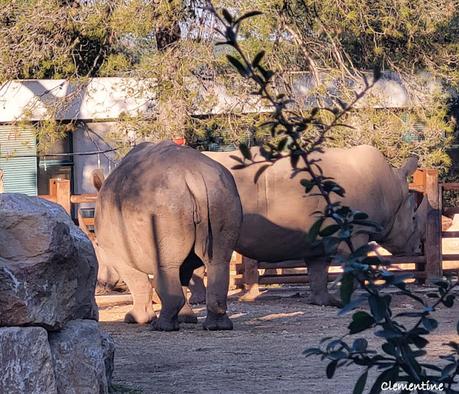 Montpellier - Parc Zoologique et Pirates Paradise Montpellier - Parc Zoologique et Pirates Paradise