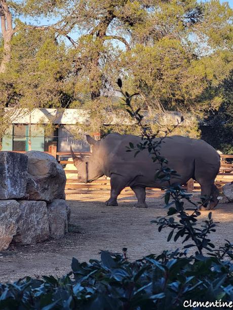 Montpellier - Parc Zoologique et Pirates Paradise Montpellier - Parc Zoologique et Pirates Paradise