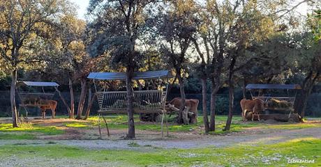 Montpellier - Parc Zoologique et Pirates Paradise Montpellier - Parc Zoologique et Pirates Paradise
