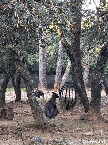 Montpellier - Parc Zoologique et Pirates Paradise Montpellier - Parc Zoologique et Pirates Paradise