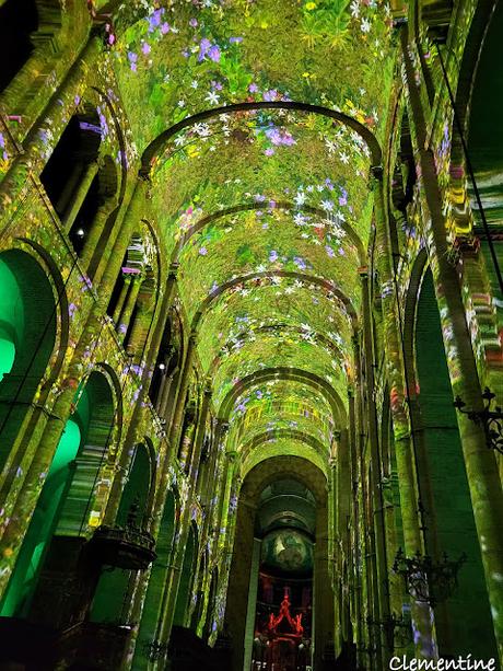 Le meilleur cassoulet du monde à Castelnaudary et spectacle Son et Lumière à la Basilique Saint-Sernin à Toulouse Le meilleur cassoulet du monde à Castelnaudary et spectacle Son et Lumière à la Basilique Saint-Sernin à Toulouse