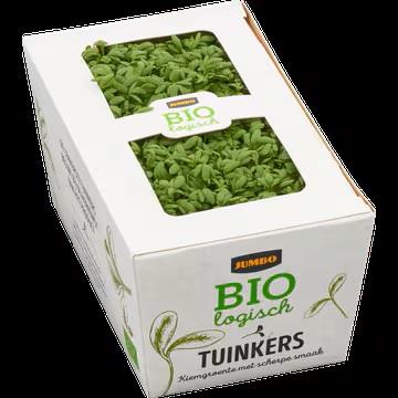 Risotto crémeux au parmesan et cresson alénois