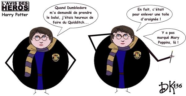 L'avis des Héros : Harry Potter