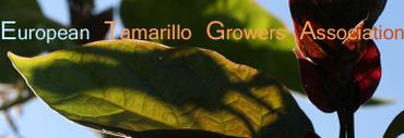 Etga_european_tamarillo_growers_ass