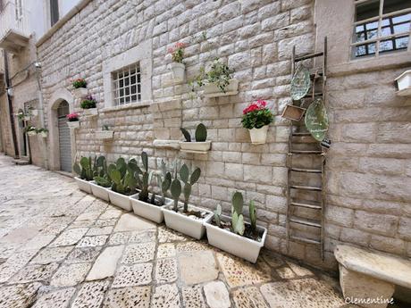 Séjour dans les Pouilles - Trani Séjour dans les Pouilles - Trani