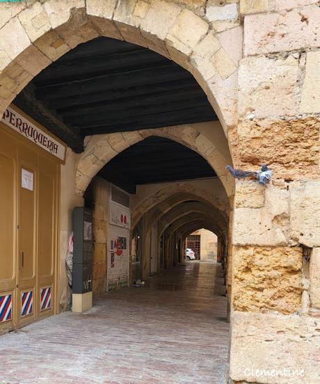 Tarragone - Centre historique, Amphithéâtre et le Cirque Tarragone - Centre historique, Amphithéâtre et le Cirque