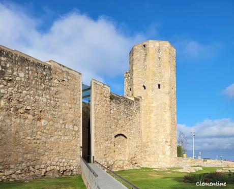 Tarragone - Centre historique, Amphithéâtre et le Cirque Tarragone - Centre historique, Amphithéâtre et le Cirque