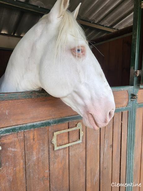 Séjour en Provence 5 - Domaine des Mylords à Tarascon Séjour en Provence 5 - Domaine des Mylords à Tarascon