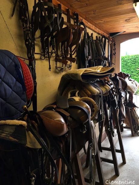 Séjour en Provence 5 - Domaine des Mylords à Tarascon Séjour en Provence 5 - Domaine des Mylords à Tarascon