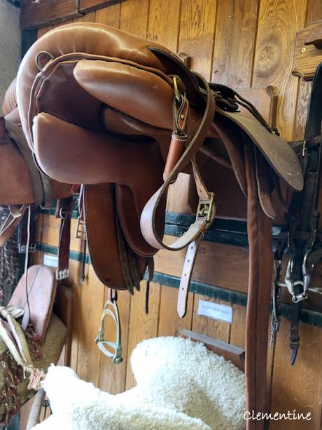 Séjour en Provence 5 - Domaine des Mylords à Tarascon Séjour en Provence 5 - Domaine des Mylords à Tarascon