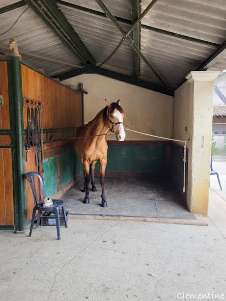 Séjour en Provence 5 - Domaine des Mylords à Tarascon Séjour en Provence 5 - Domaine des Mylords à Tarascon