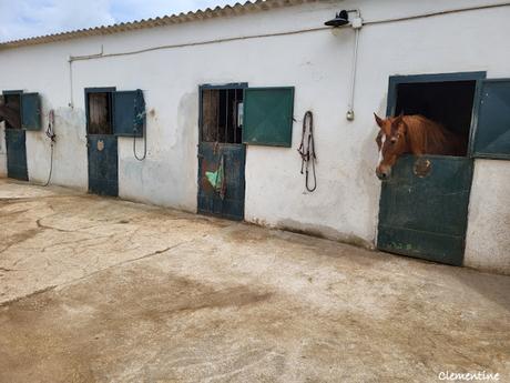 Séjour dans les Pouilles - Masseria  San Giuseppe à Corato - Castel del Monte