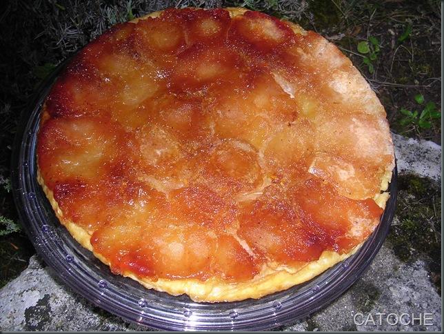 Tarte tatin du jardin