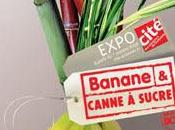 Objectif... peau banane