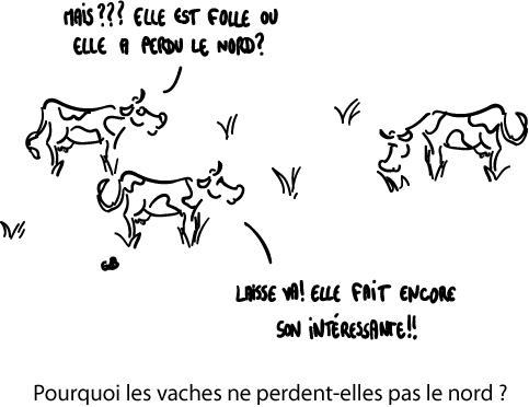 Pourquoi les vaches ne perdent-elles pas le nord ?