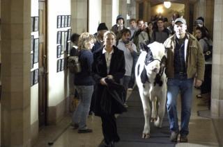 Olivia Dunham et la vache