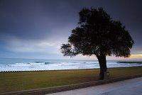 16 - Chroniques d'un faux hypocondriaque anachronique