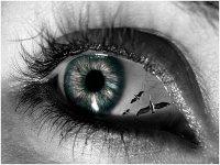 15 - Chroniques d'un faux hypocondriaque anachronique