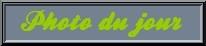 Photo_du_jour