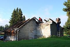 Mayen-colombire (10)