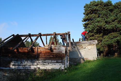 Mayen-colombire (12)