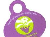 Développement durable, commerce équitable pour fleurs