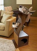 Mobiliers insolites pour animaux