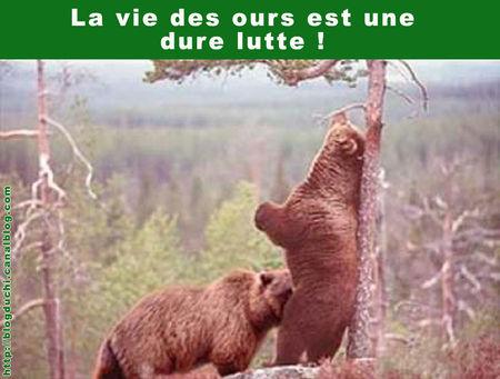 Ours1