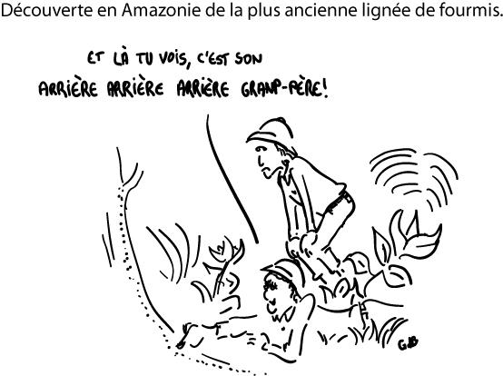 Découverte en Amazonie de la plus ancienne lignée de fourmis