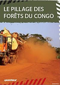 Le pillage des forêts de Congo
