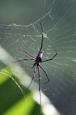 La galerie des horreurs