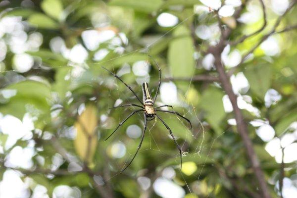 La galerie des horreurs