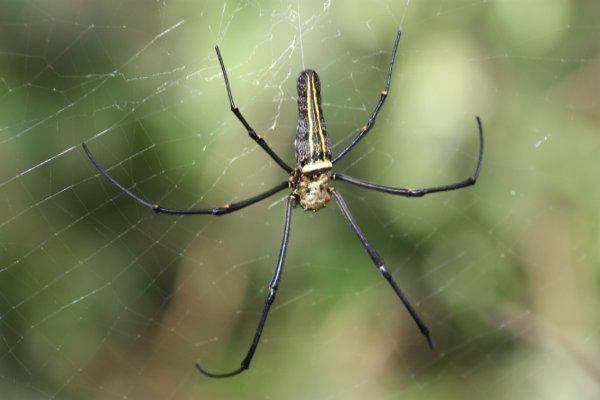 La galerie des horreurs