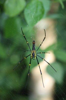 La galerie des horreurs