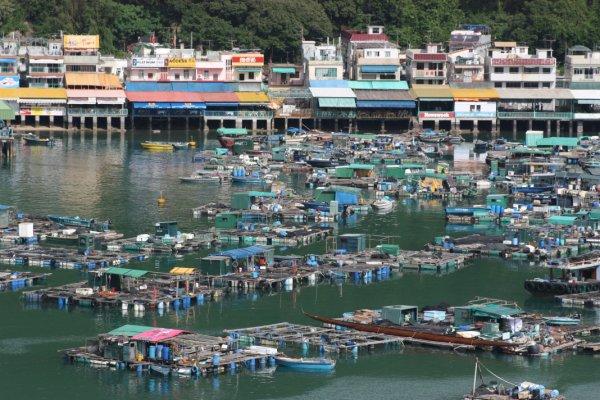 La galerie des horreurs La galerie des horreurs