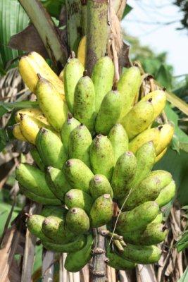 La galerie des horreurs Aout2008_ 1008