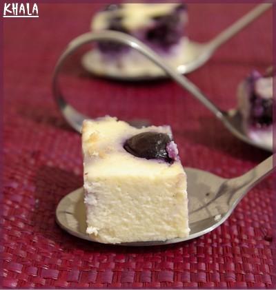 cheese cake aux myrtilles sans pâte