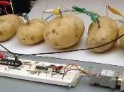 serveur pour patates prochain Kimsuffi d’OVH