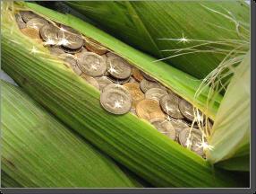 Crise financière : lettre à mon professeur de mathématiques