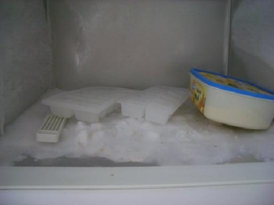 freezer.1221844241.jpg