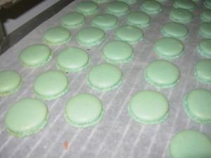 Macaron pistache