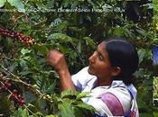 jardins commerce équitable