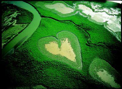 La possibilité d'une ile