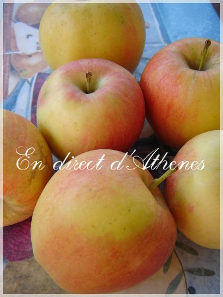 RETOUR DU MARCHE : Pommes et pleurottes