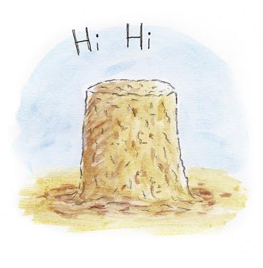 Coussins de plage (7)