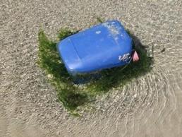 Quel avenir pour les océans ?