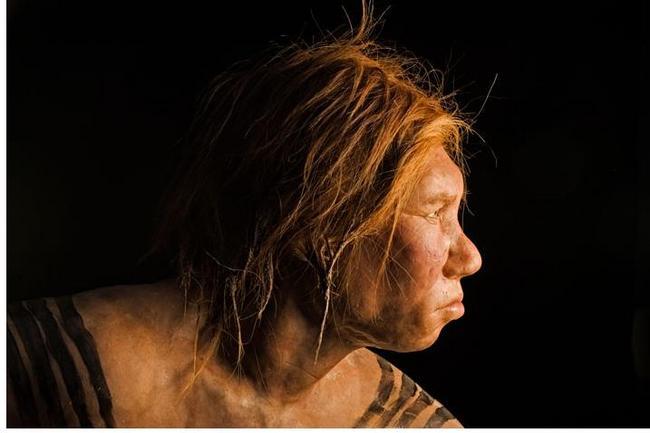 Wilma, une femme de Neandertal