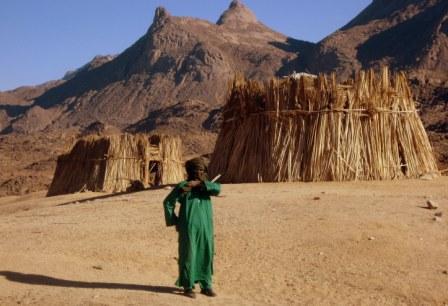 Habitat touareg: La Zériba